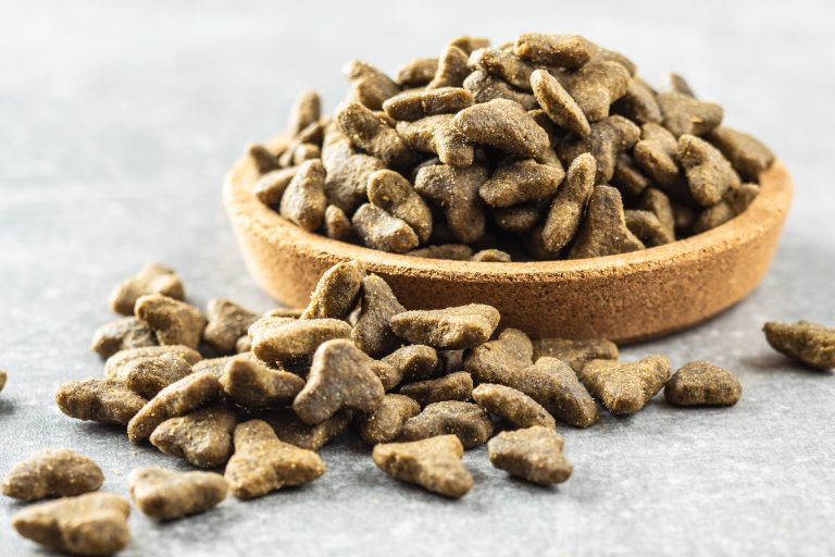 What Dry Foods Should You Feed Your Labradors?