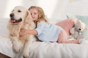 Labrador Retriever vs Golden Retriever: Which Dog Is Right For You?